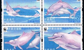 野生动物保护区的标志 中国野生动物保护协会会徽